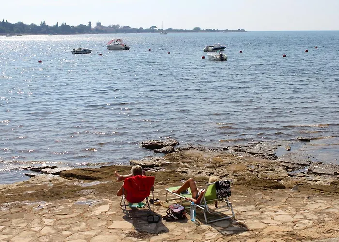 Apartman With A Swimming Pool Fiorini, Novigrad - 7047 Brtonigla