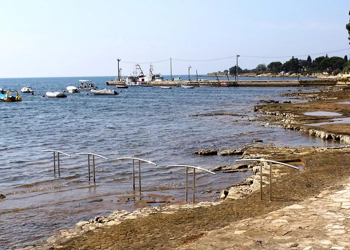 Apartman With A Swimming Pool Fiorini, Novigrad - 7047 *