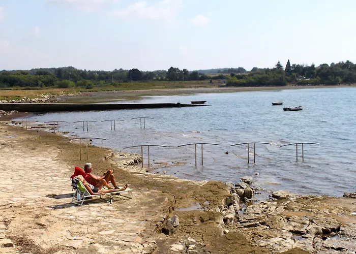 With A Swimming Pool Fiorini, Novigrad - 7047 Apartman Brtonigla